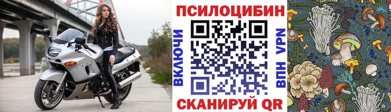 Псилоцибиновые грибы Cubensis  Южноуральск 